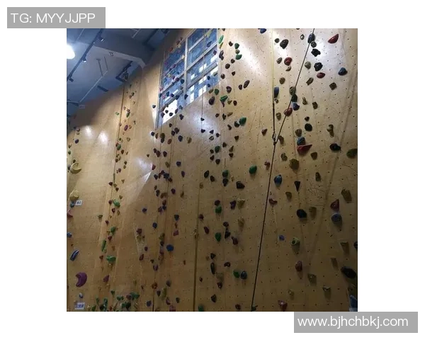 南京攀岩队在阵地战中的表现分析与反思探索