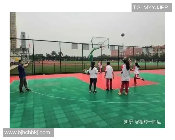 权威发布：2023年排球配合实力榜单全面解析与深度分析